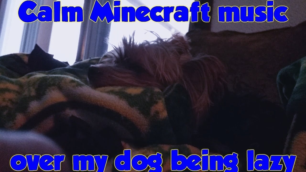 I put Minecraft menu music over my dog being lazy