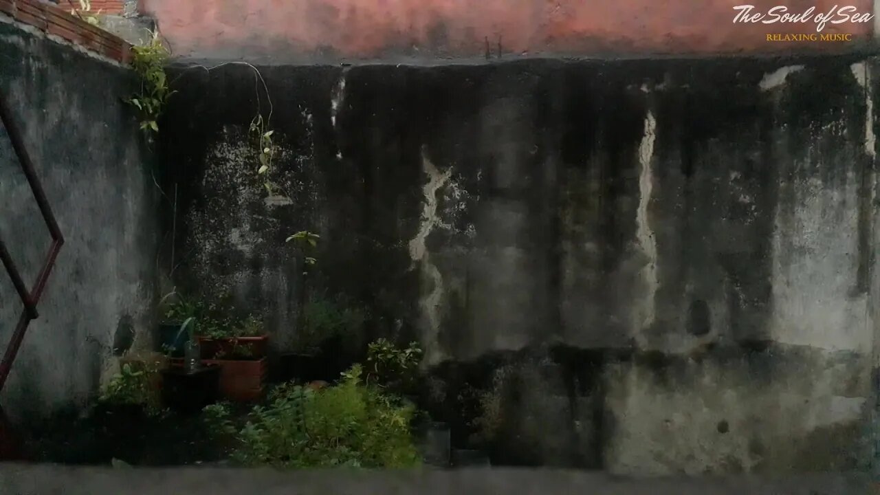 Sleep Instantly with Sounds of Rain & Thunder in Brazil