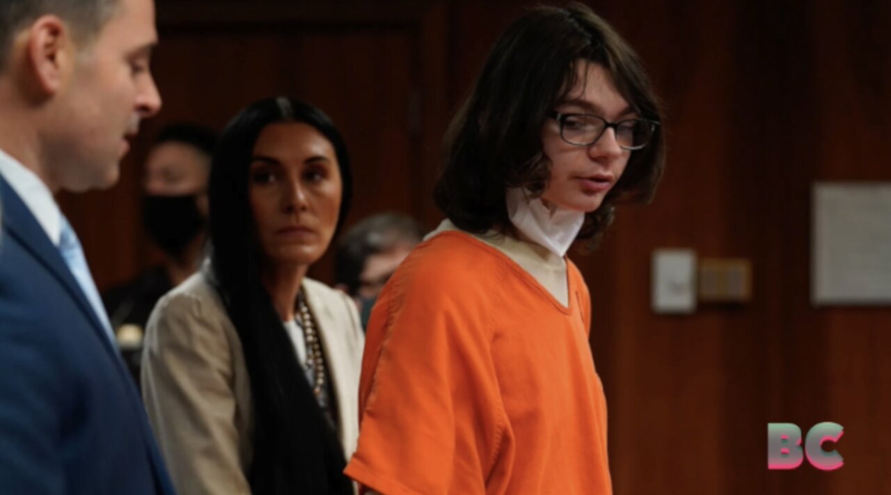 Michigan teen pleads guilty to killing 4 in school shooting