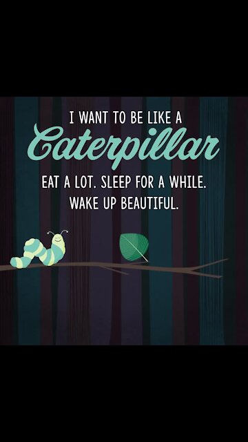 I want to be like a caterpillar [GMG Originals]