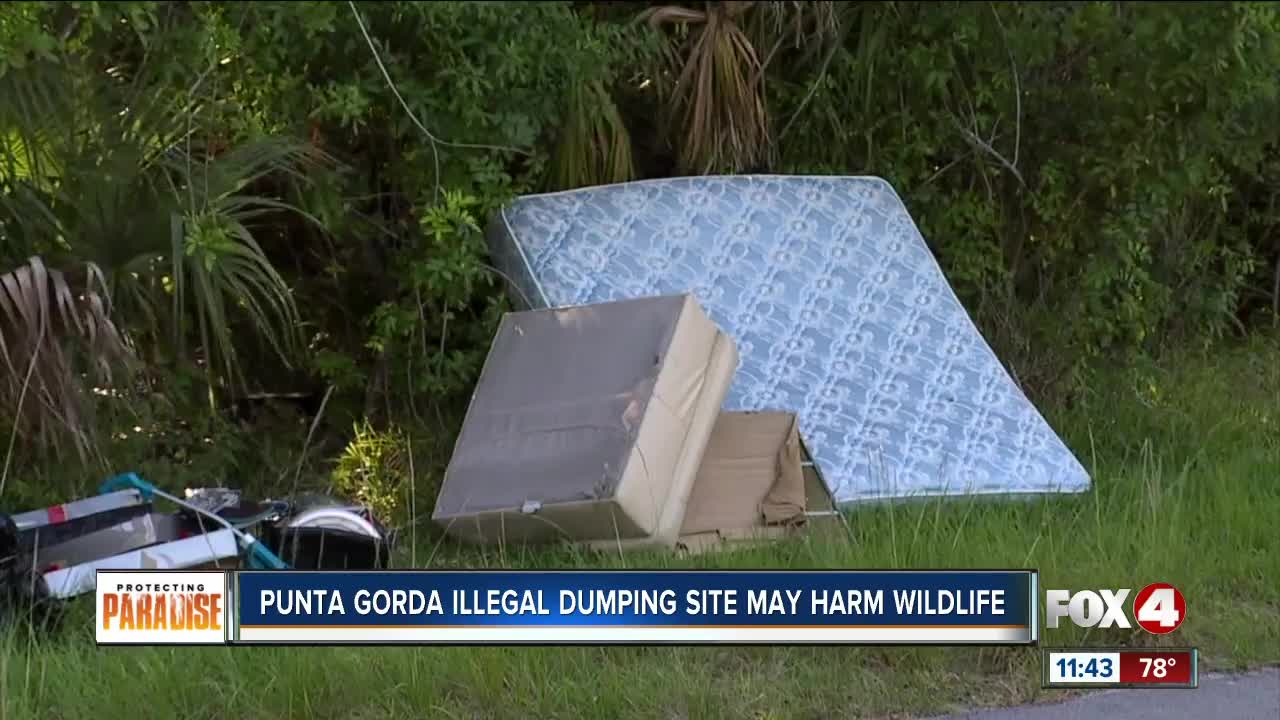 Neighbors say illegal dumping site threatens wildlife