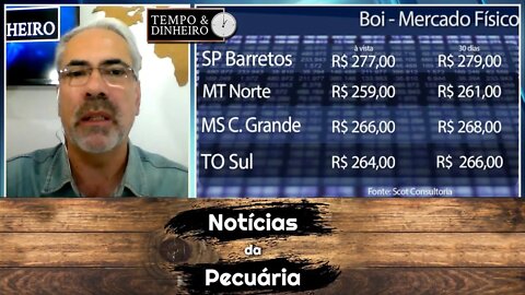 Boi gordo esboça reação e tem ligeira alta em 17 praças pecuárias