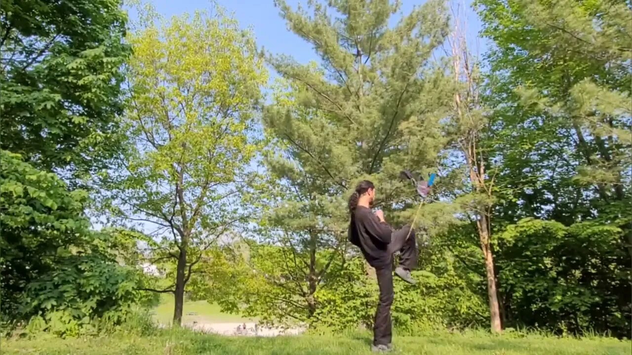 Rope Dart :: Bellwoods flow :: may17