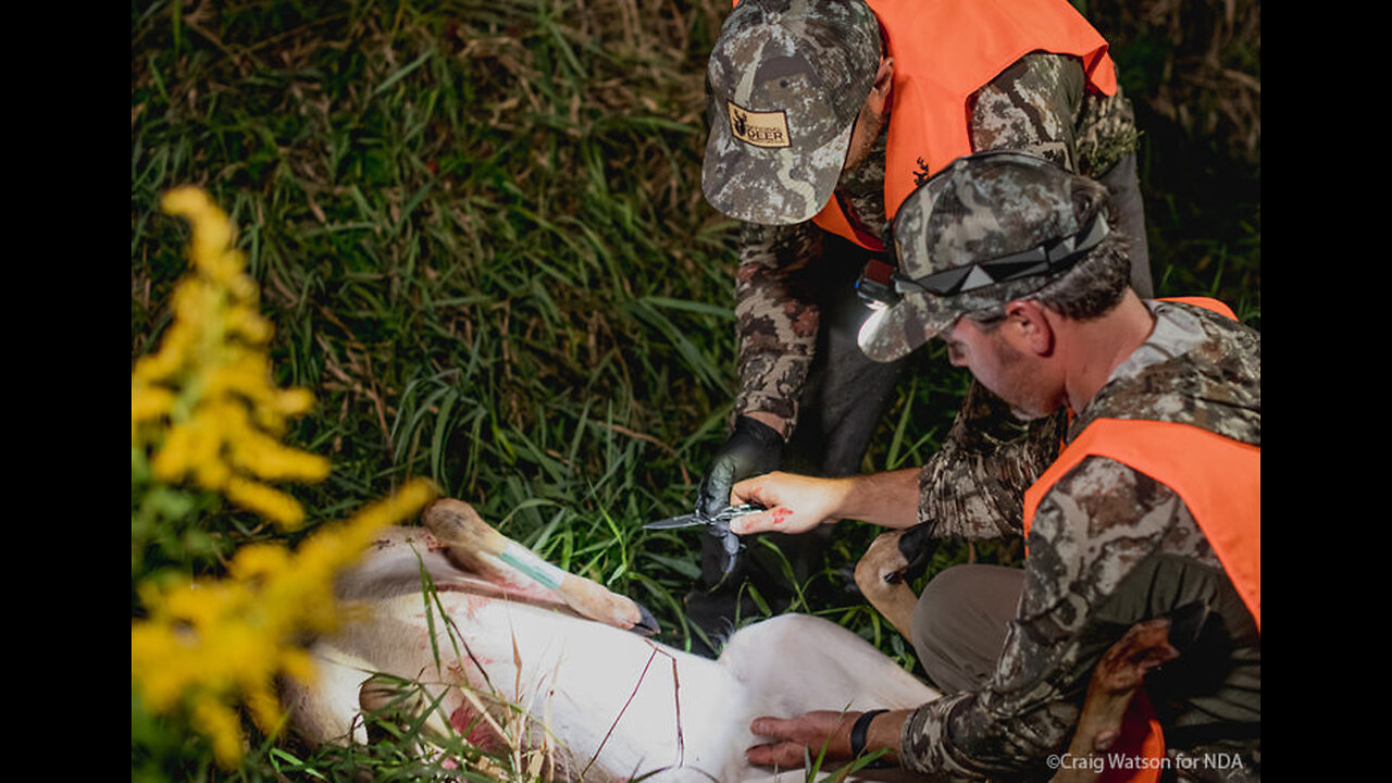 The Top 10 Hunting Spots in America for Avid Hunters Statements