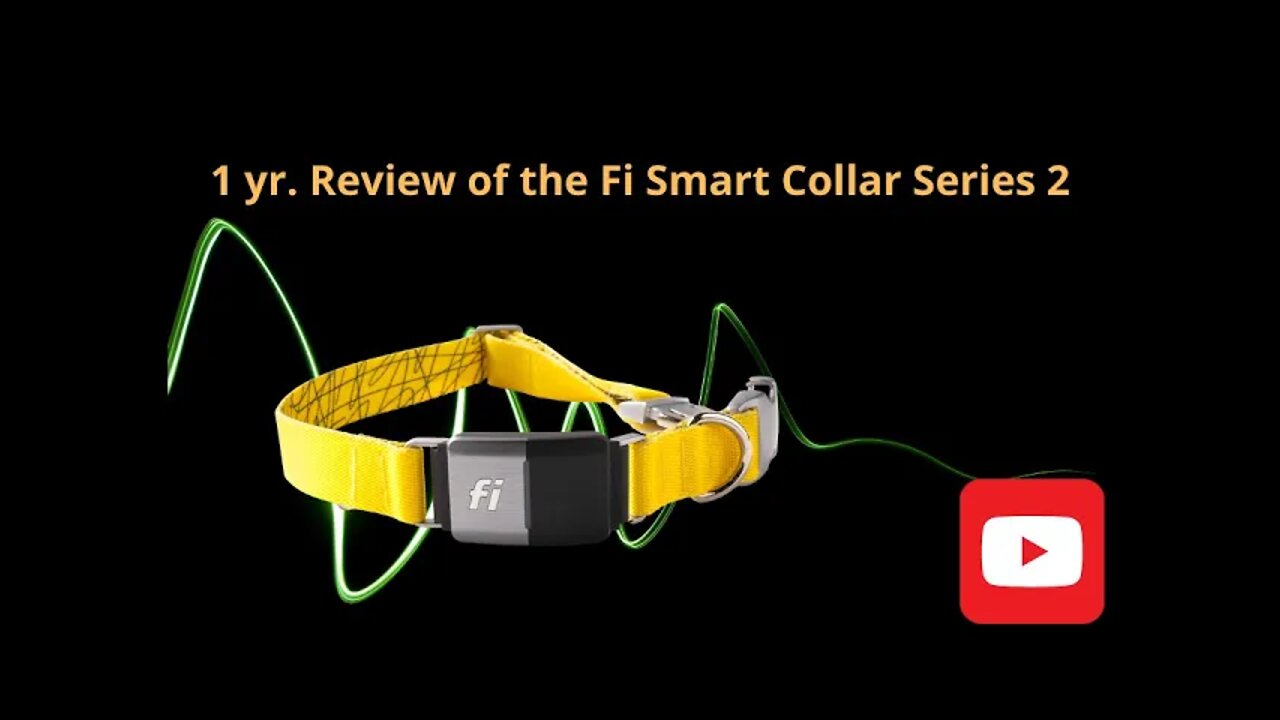 Review of the Fi Series 2 Smart Collar