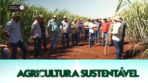Agricultura Sustentável - com Frederico Olivi