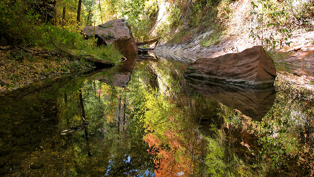 WANDERLUST! Best hikes to see fall colors in Arizona - ABC15 Digital