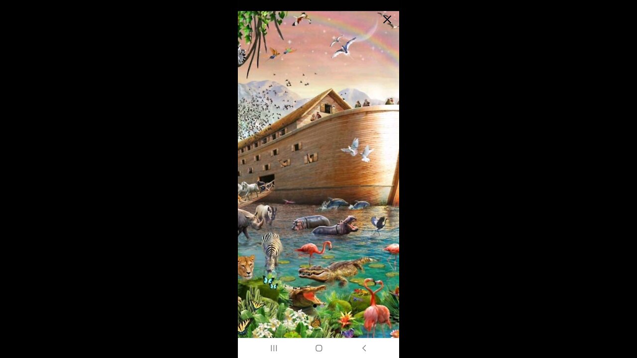 Will you be counted worthy to enter the Ark?
