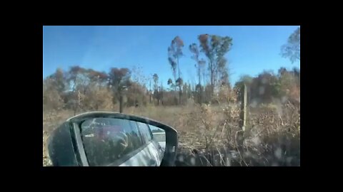 Caravana de Izquia Siches es emboscada y atacada en Temucuicui