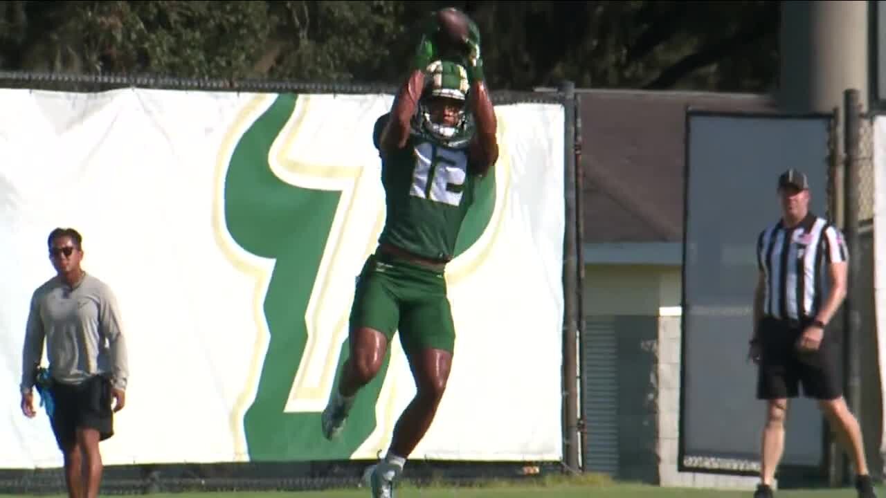 USF's Manny Hickman has a new look to help the Bulls win