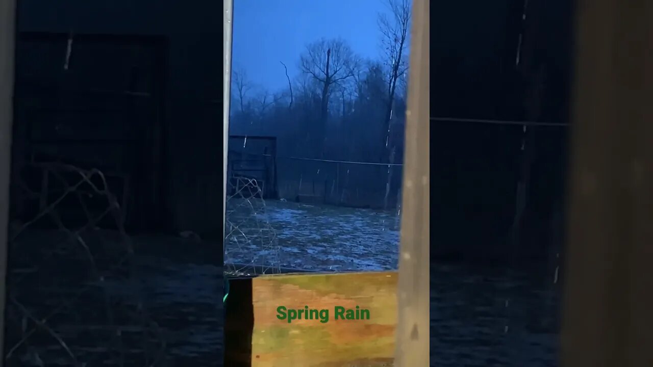 Spring when it rains almost everyday. #homesteading