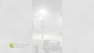 Winter roars back into Ontario with a sky full of snow