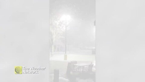 Winter roars back into Ontario with a sky full of snow