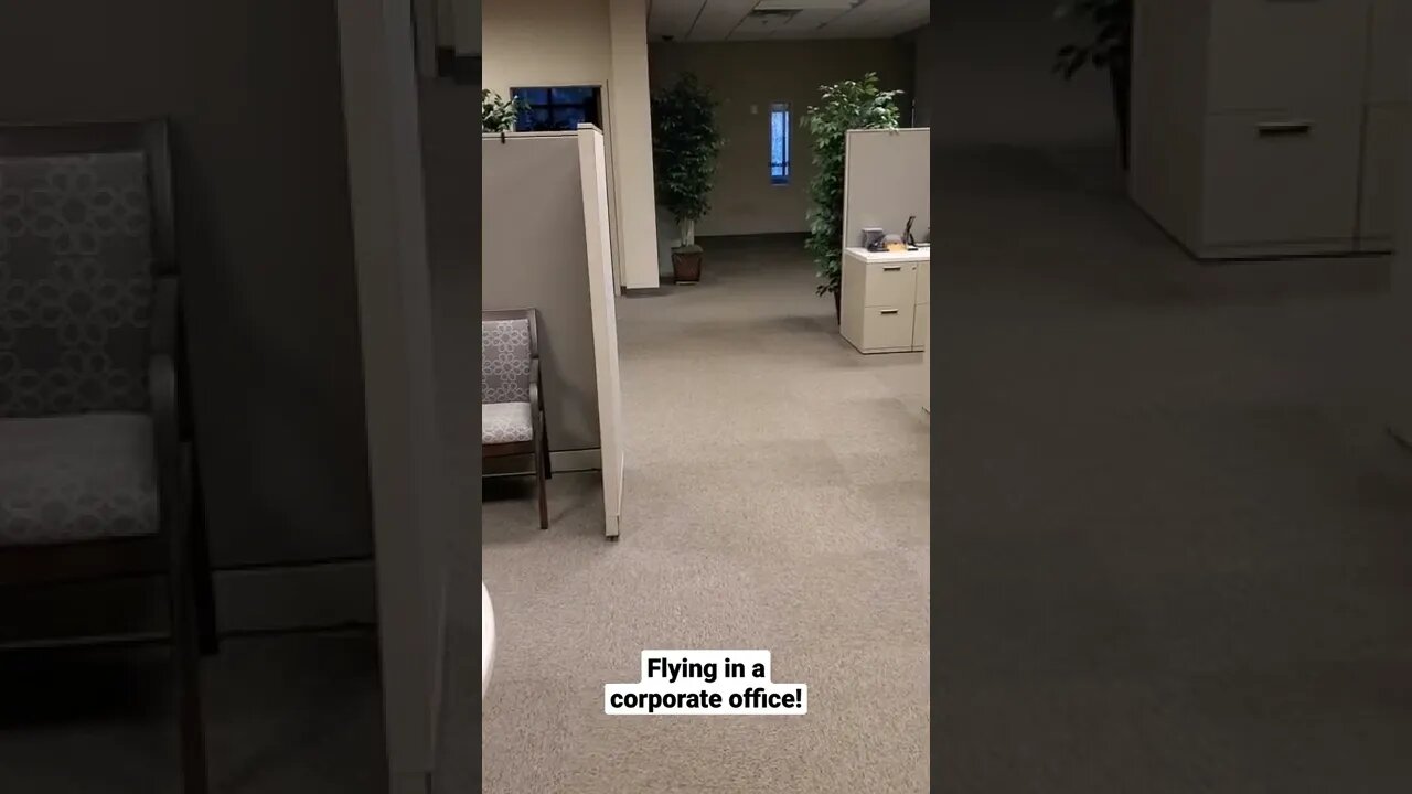 DJI MINI 2 Flying indoors in a corporate office!