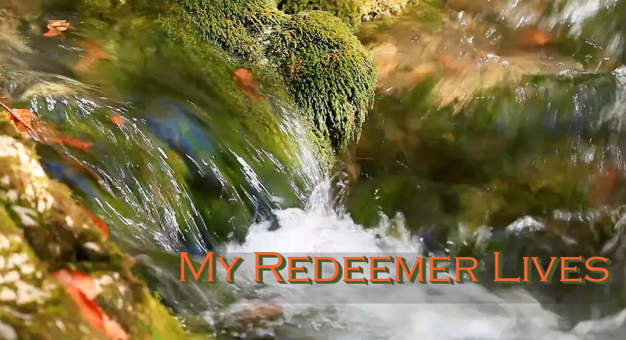 Prayerful Songs Of Worship: My Redeemer Lives