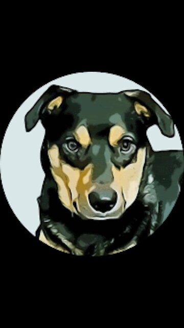 Sam's Club Grocery Run 1 - 1 - 2021