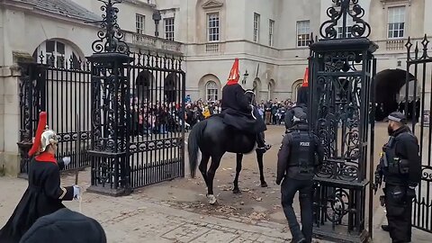 The kings guard horse jumps out of the box #thekingsguard