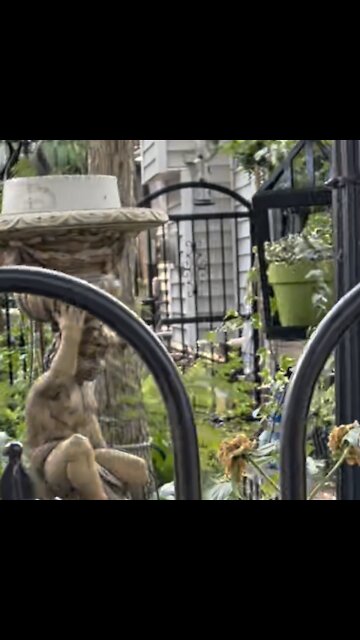 Historical home garden