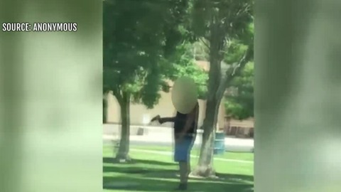 Video shows man tossing gun in air at Davis Park