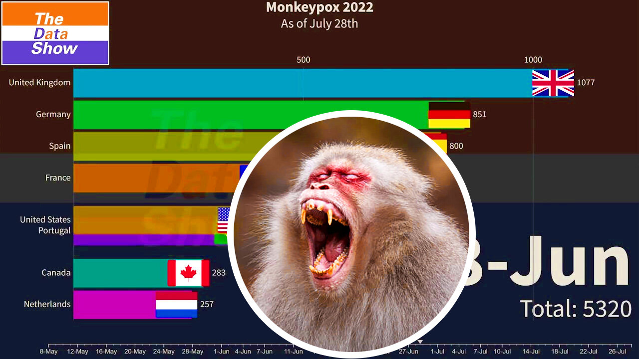 🏎Bar Chart Race: Monkeypox 2022 As of July 28th 🟠⚪🟣 The Data Show