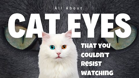 All about cat eyes that you couldn't resist watching