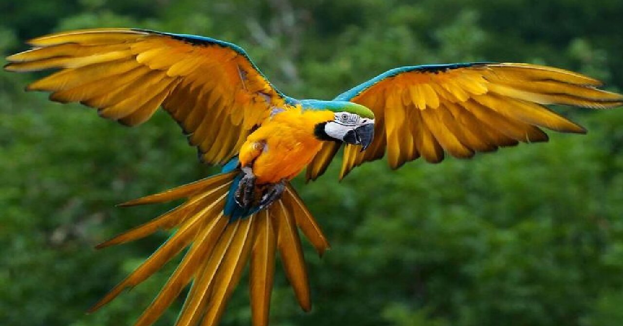 Love nature