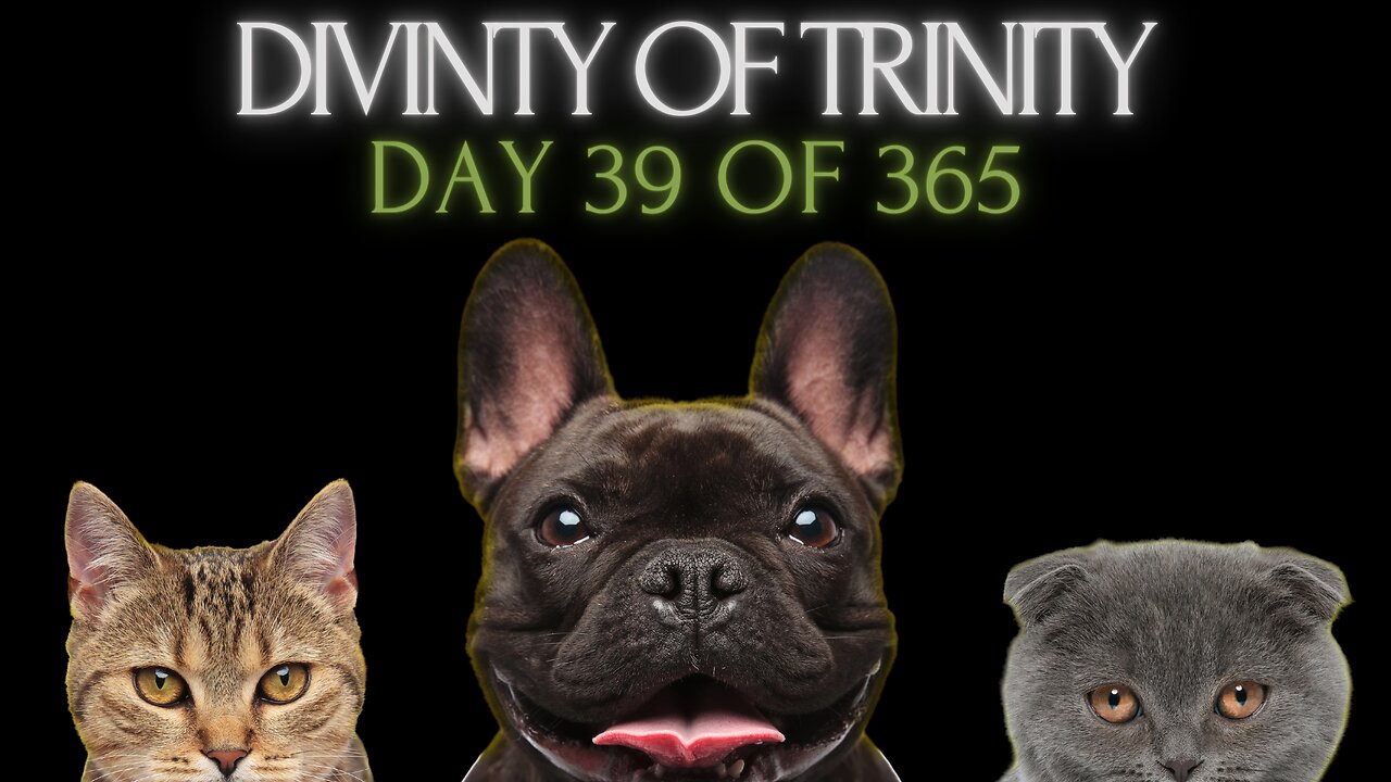 Day 39 - Divinity of Trinity (Sound distorted)