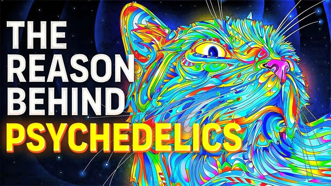 Video Why Psychedelics Are Fueling a Mental Health Revolution