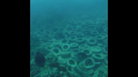 Onde vão parar os pneus? #shorts #ocean