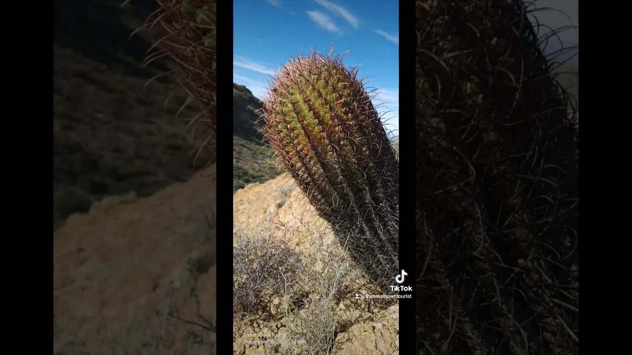 Off Road Near Small Town Apache Junction Arizona