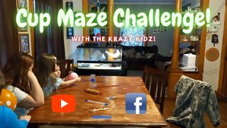 Cup Maze Challenge! | Krazy Kidz Creations