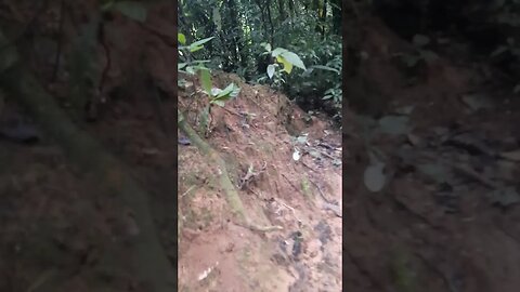 TRILHA RETORNO PARA TAIPAS TRILHA DE MOTOS CHEIA DE BURACOS E BARRANCOS