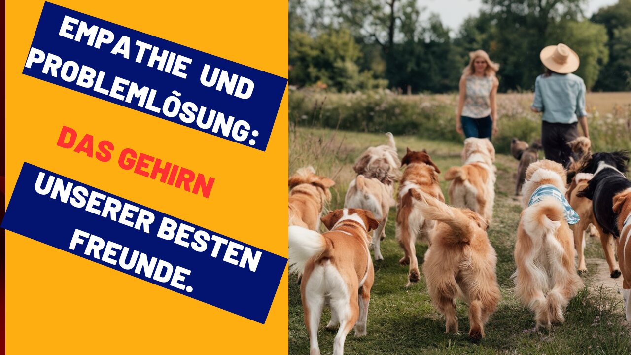 Empathie und Problemlösung: Das Gehirn unserer besten Freunde.