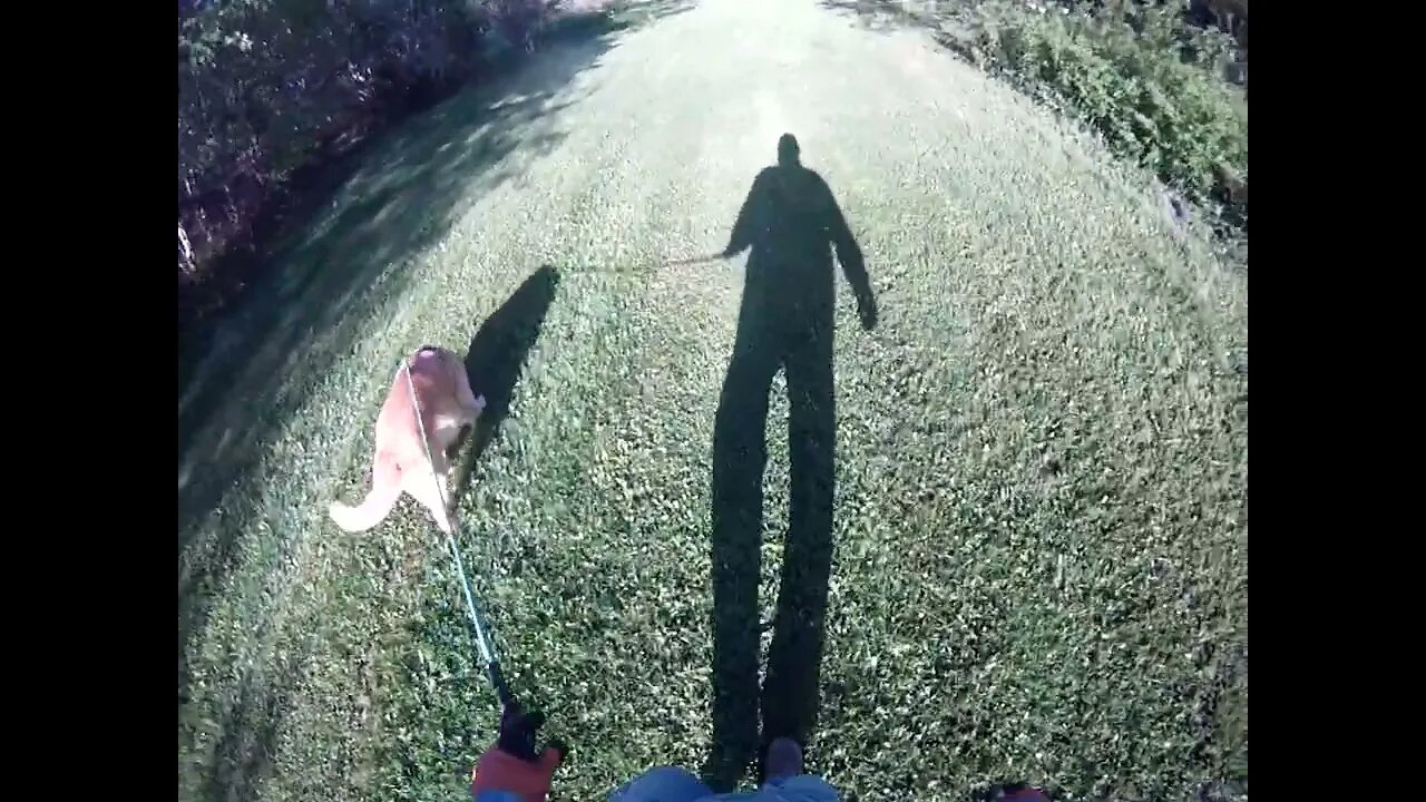 May 29th, 48º cloudless sky with nice breeze. Flynn and I walk the North driveway for a change.