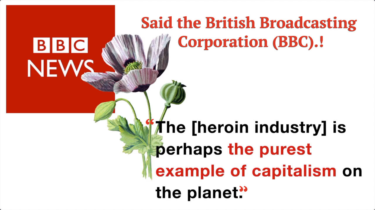 UK Column News - Would The Successful Opium Ban Be Bad for Afghans and the World.?