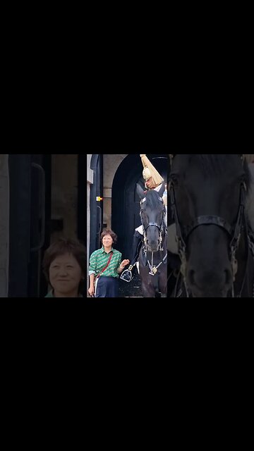 leaning on the boot #horseguardsparade
