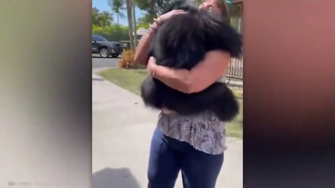 Animals Reunited With Owners After Years