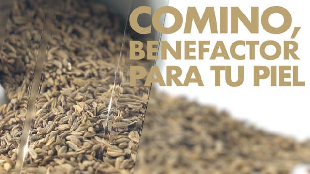 Mantém a calma em 5 passos