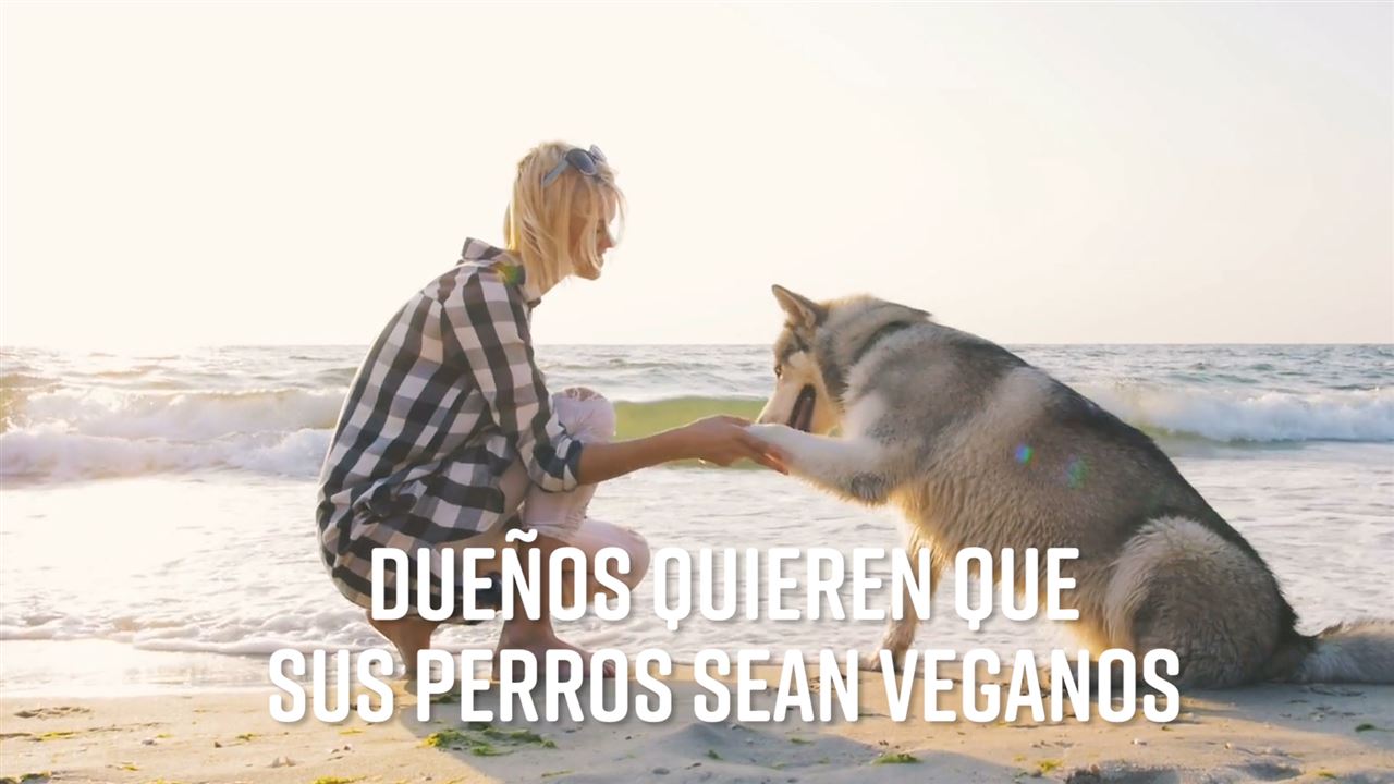 Razones por las que tu mascota no debe de ser vegana