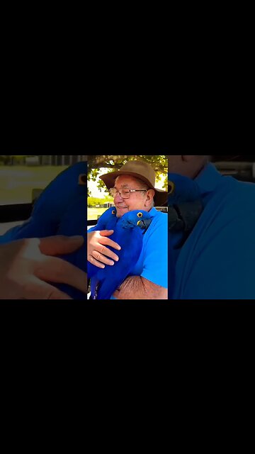 A precious friendship 🥰 #shorts #foryou #viral #foryoupage