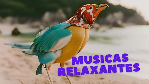 Musica relaxante para um sono reparador