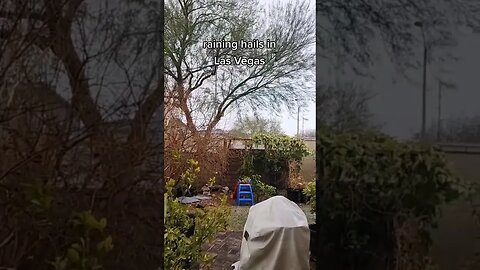 raining hails in Las Vegas #shorts #viralshorts #viral #lasvegas GreenMangoes