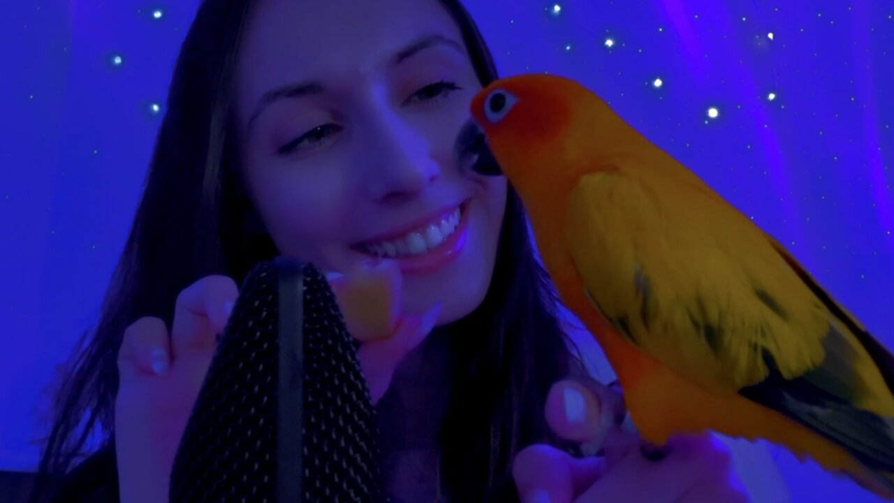 ASMR Mouth Sounds with my Bird - He gives you lots of Tingles ✨