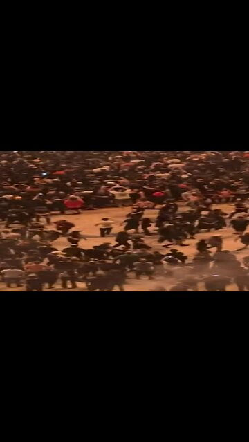 ￼ Going the wrong way, in the Snake PIT!#moshpit #metallica #rock