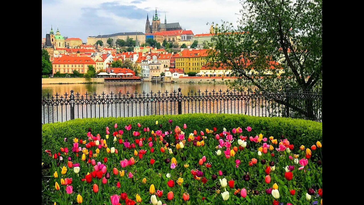 250 Reasons to Visit the Czech Republic