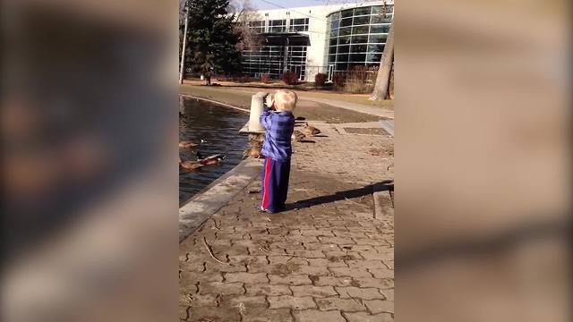 The Cutest Crossing Guard For Ducks