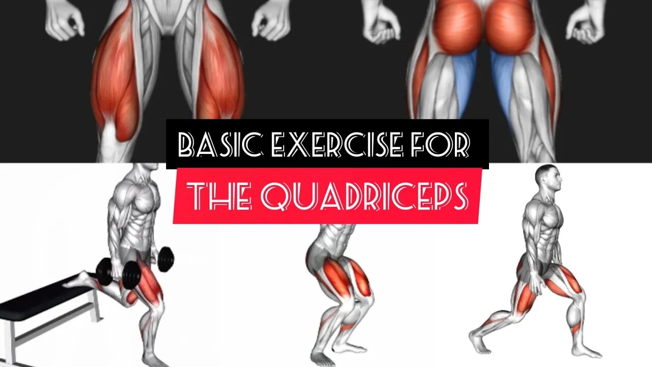 Basic exercise for the quadriceps(barbell/dumbbells/body weight)