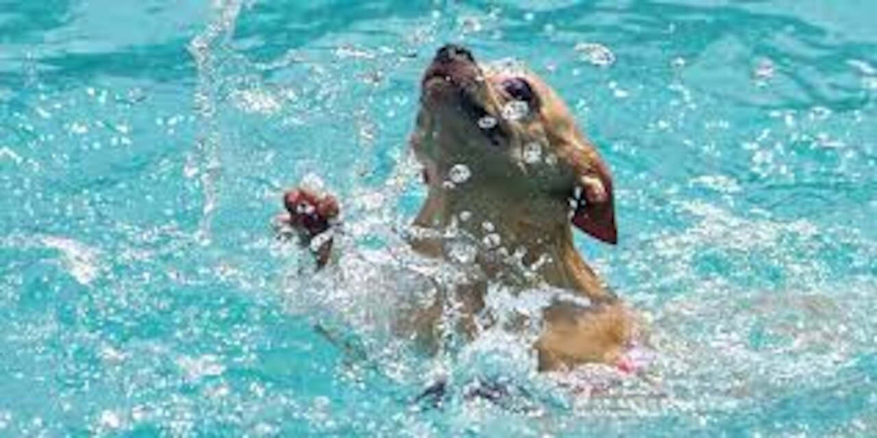 “get him he can’t swim!” 😮😮 Thank god u were there😮