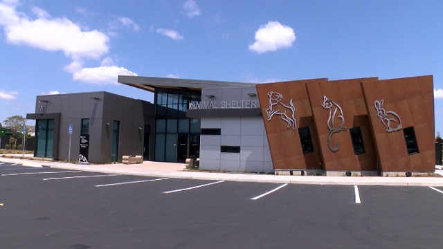 Multimillion-dollar animal shelter opening soon in El Cajon