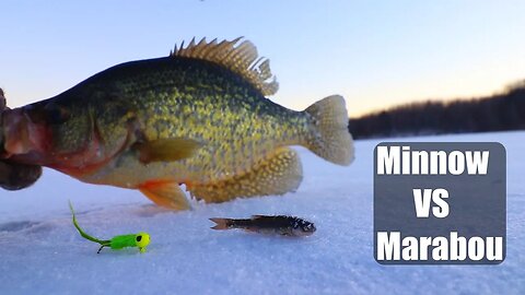 Winter Crappie Fishing 2019! Live minnows VS Marabou Crappe Jig